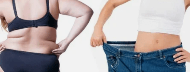 Los principios del amado menú de dieta