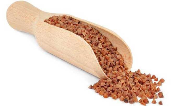 Eficiencia de la dieta